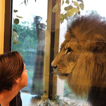 Big Cat Bungalows At The Haven - Lion 2 Canastota Eksteriør billede